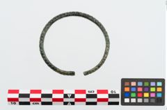 Foto von Bronzearmreif (NHMW-PRAE-023951)